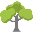 Montgomery Tree Removal