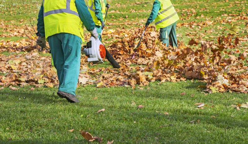 Request a Leaf Removal Quote